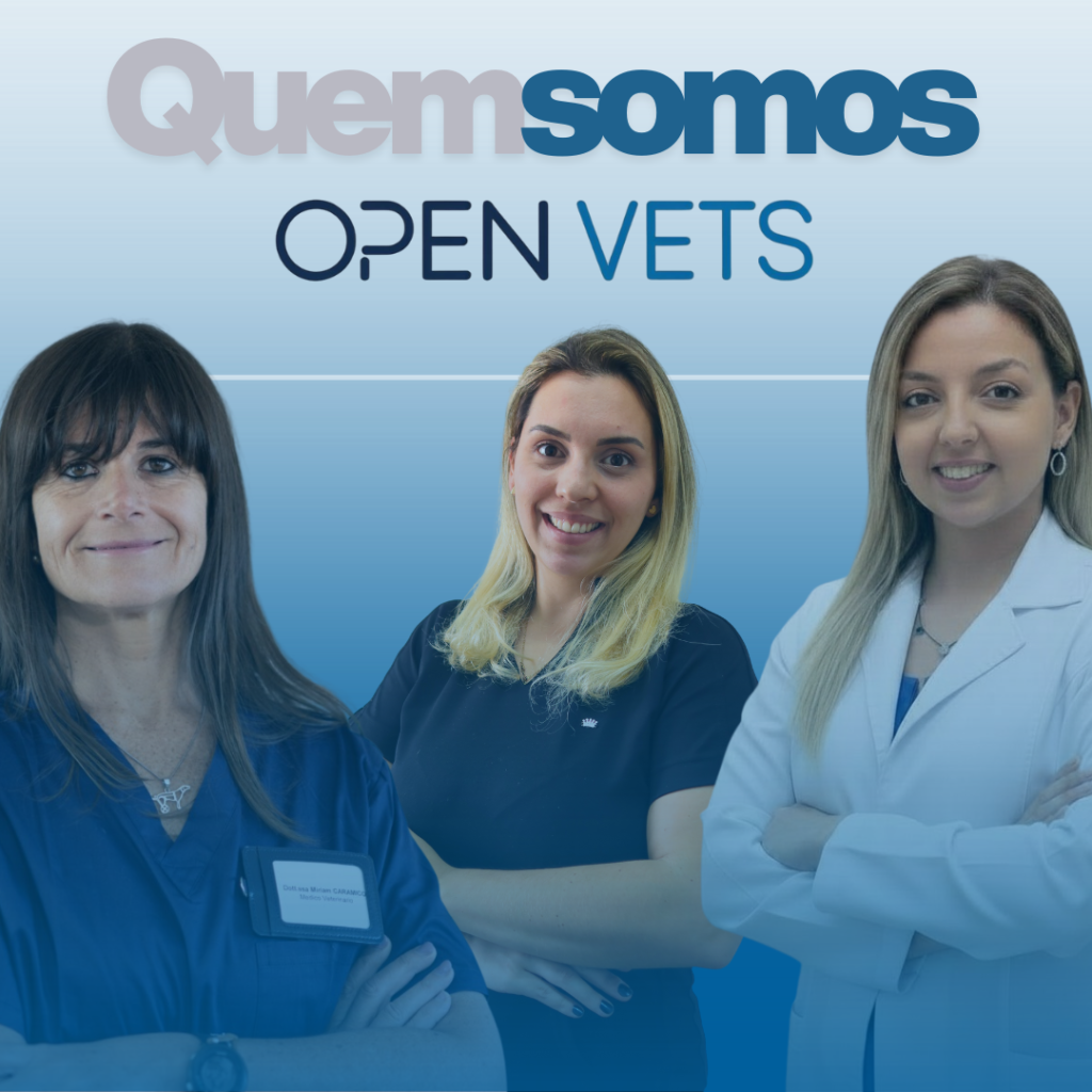OpenVets - Quem Somos